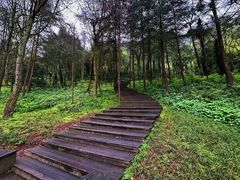 -青城山