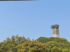 -江心屿景区