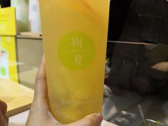 -树夏(建设路店)