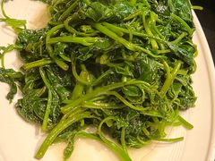 -陈麻婆豆腐(旗舰店)