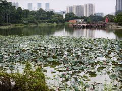 -广西壮族自治区药用植物园