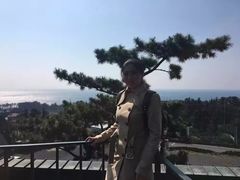 景点-济州岛泰迪熊博物馆