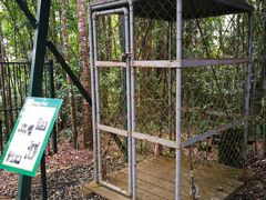 -热带雨林自然公园