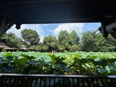 -莫催咖啡