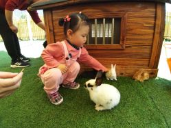 -萌宠亲子动物乐园(槐房万达店)