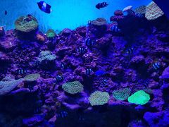 -上海海昌海洋公园