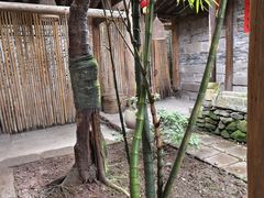 -驿舍·民國老营房院子私房菜(科学会堂店)