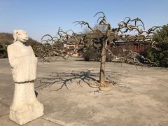 -洛阳古墓博物馆