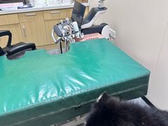 -美联众合爱康动物医院•复杂内科•肿瘤科•牙科•腔镜诊疗中心