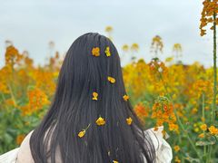 -中国天府农业博览园