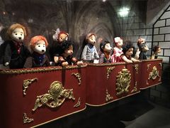 -济州岛泰迪熊博物馆