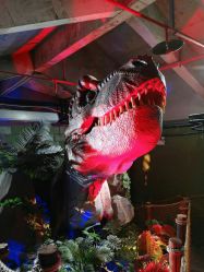 -恐龙探索乐园(磁器口店)