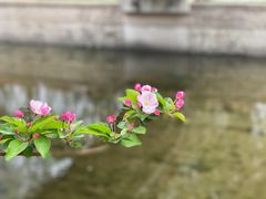 -海棠花溪(元大都城垣遗址公园)