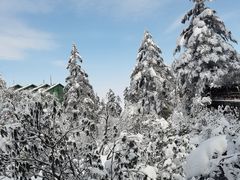 -瓦屋山景区