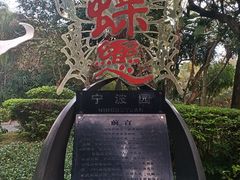 -深圳国际园林花卉博览园