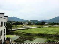-黄牛肉馆·皖南土菜