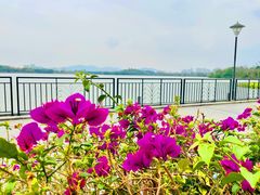 -NOTOOCAFE不二咖啡馆(岩前店)