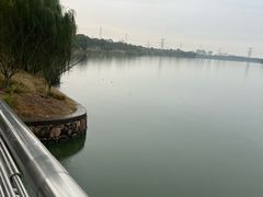 -漕湖湿地公园