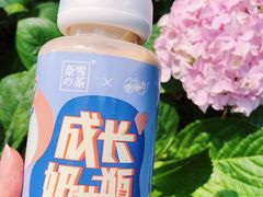 -奈雪的茶(新天地广场PRO店)