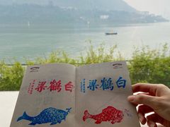 -白鹤梁水下博物馆