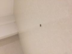 -正佳金殿维福顿公寓(广州正佳广场体育西路地铁站店)