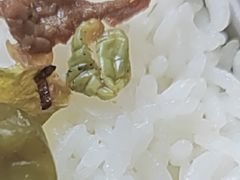 -兰湘子·湘菜小炒(石家庄万象城店)