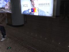 -奥体中心(地铁站)