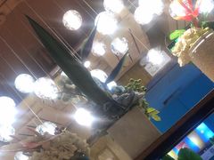 -领鲜活海鲜榴莲自助火锅(东门店)