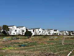-东梓关景区村庄
