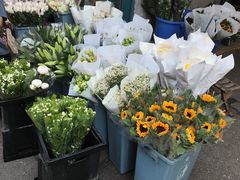 -循礼门鲜花花市(武汉循礼门店)