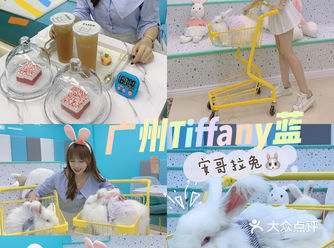 广州也有安哥拉巨兔啦️可爱暴击来袭️