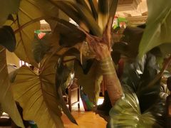 -凯撒城堡西餐厅(颐和国际店)