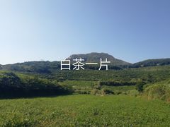 -嵛山岛