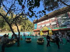 -西双版纳原始森林公园
