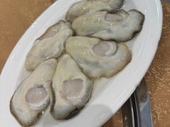 -濠轩阁特色生蚝火锅总店