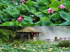 -广州莲花山旅游区