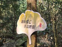 -大慈岩风景区