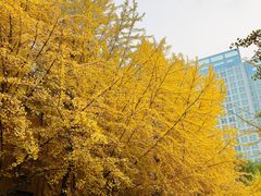 -辽宁大学(崇山校区)