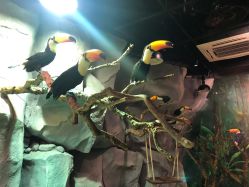 -Zoolung Zoolung动物主题公园(海信广场店)