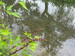 -成飞公园