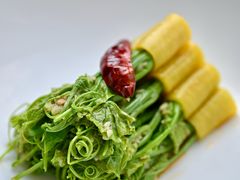 -广州富力君悦大酒店空中花园