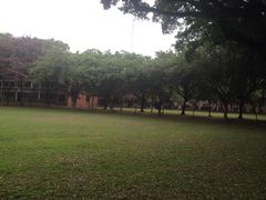 iphone_upload_pic-中山大学学者灵芝(园南路店)