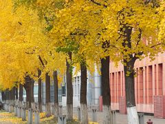 -四川大学(江安校区)