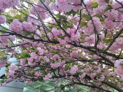 -上海游泳馆(地铁站)