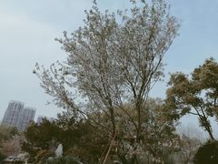 -堤角公园
