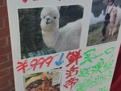 -盒马X会员店(王府井奥莱UP TOWN店)