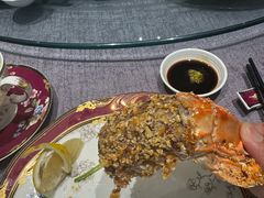 -新锦鸿(演达店)