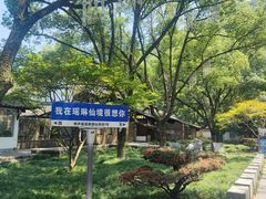 -瑶琳仙境