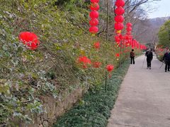 -南山风景名胜区