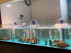 -好瑜筷桂鱼专门店(植物园店)